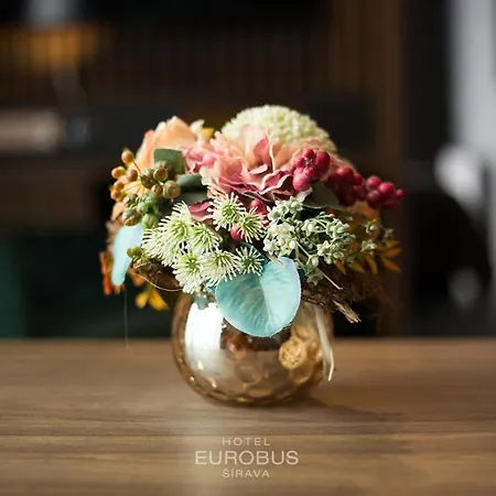 Eurobus ホテル 4*